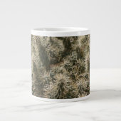 テディベアサボテン ジャンボコーヒーマグカップ (正面)