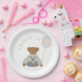 テディベアピクニックベビー誕生日 ペーパープレート (パーティー)