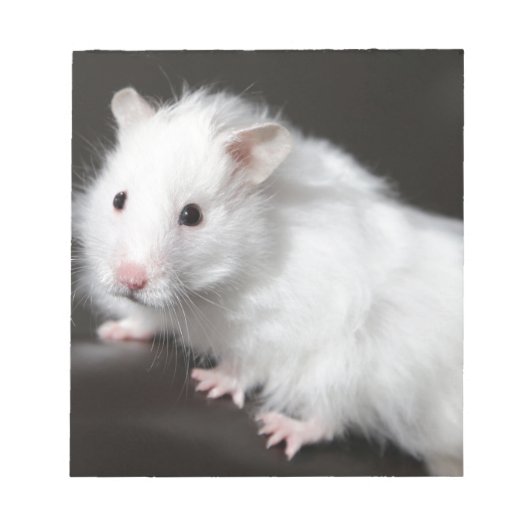 テディベアーハムスター ノートパッド (正面)