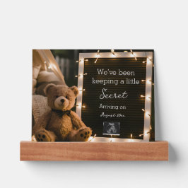 テディベア妊娠の発表と居心地の良い夜 ピクチャーレッジ