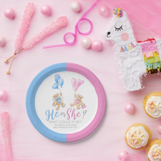 テディベア性別が水彩画パーティーを明らかにする ペーパープレート (パーティー)