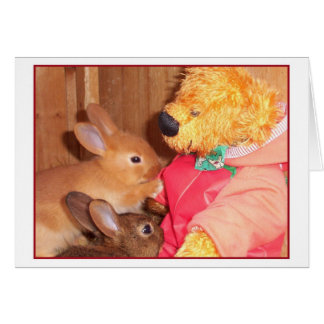 テディベア愛小さいベビーのウサギ