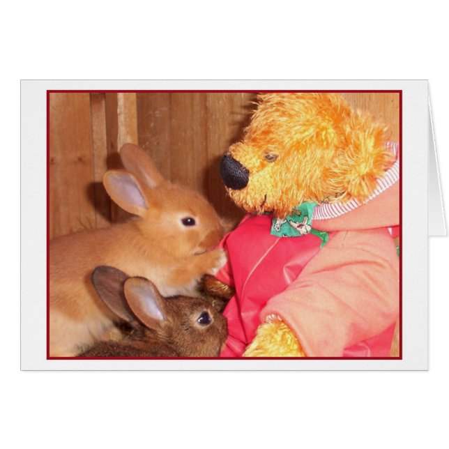 テディベア愛小さいベビーのウサギ (正面横)