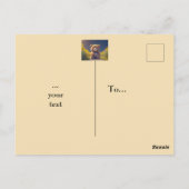 テディベア牧草地、任意の大事な行事 ポストカード (裏面)