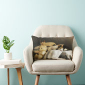 テディベア詰まったの2匹 ランバークッション (椅子)