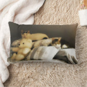 テディベア詰まったの2匹 ランバークッション (ブランケット)