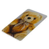 テディベア詰まった玩具 マグネット (左側)