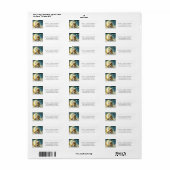 テディベアonムーングロースターズ赤ちゃんシャワー ラベル (フルシート)