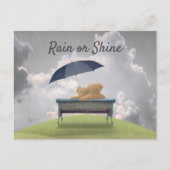 テディラブ。雨の中でテディベアは恋を抱き締める ポストカード (正面)