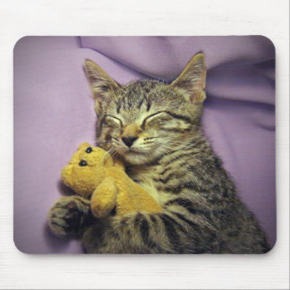 テディー・ベアと眠っているベビーのデイジーの子猫猫の子ネコ マウスパッド