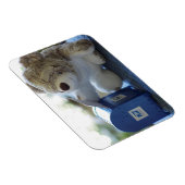 テディー・ベアは手紙2の適用範囲が広い磁石を郵送します マグネット (右側)