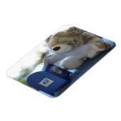 テディー・ベアは手紙2の適用範囲が広い磁石を郵送します マグネット (左側)