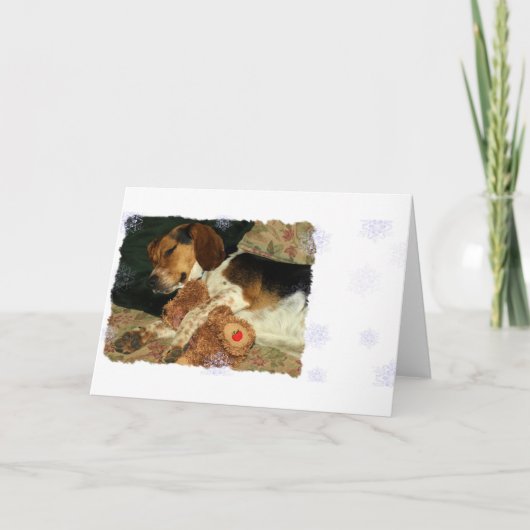 テディー・ベアを持つ甘美な夢の眠く詮策好きなビーグル犬 カード (正面)