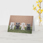 テディー・ベア カード (黄色い花)