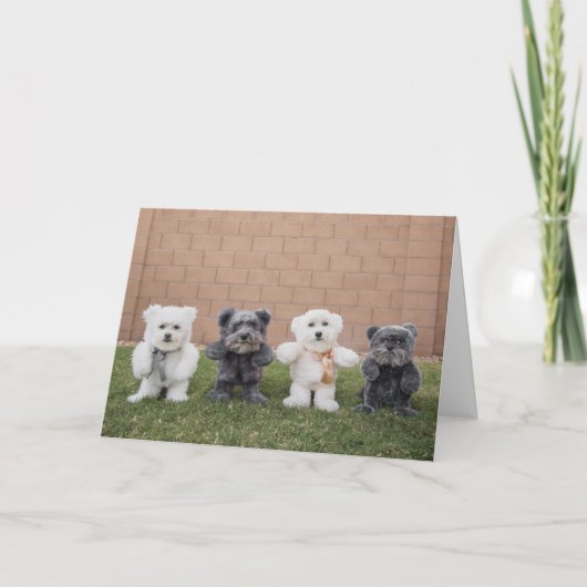 テディー・ベア カード (正面)