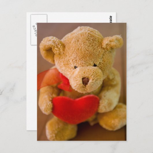 テディ詰まったベアがハートのはがきを持つ ポストカード (正面/裏面)