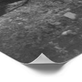 テディ・ゴーズ・ベア狩り, 1905 ポスター (角)