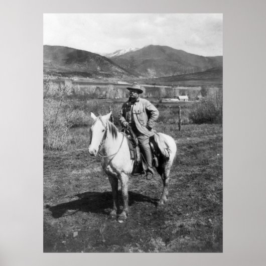 テディ・ゴーズ・ベア狩り, 1905 ポスター (正面)