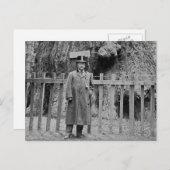 テディ・ルーズベルトとビッグツリーグローブサンタクルーズ ポストカード (正面/裏面)