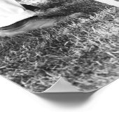 テディ・ルーズベルト， 1912 ポスター (角)