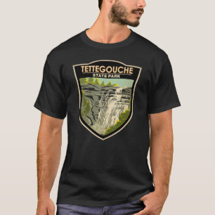 テトゴーシュ州パークミネソタヴィンテージ Tシャツ