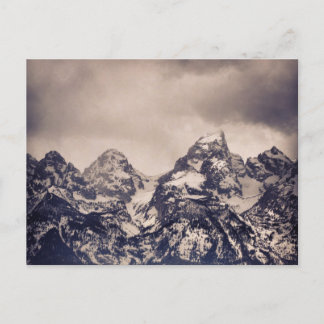 テトニック ポストカード