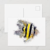 テトラフィラムエンゼルフィッシュ水彩画水槽ギフト ポストカード (正面/裏面)