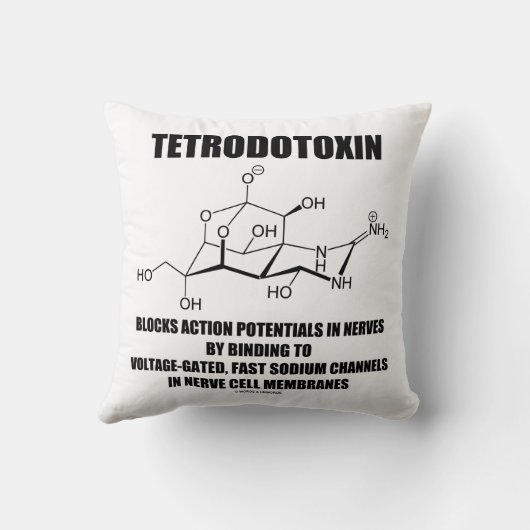 テトロドトキシンは神経の活動電位を妨げます クッション (裏面)