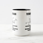 テトロドトキシンは神経の活動電位を妨げます ツートーンマグカップ (中央)