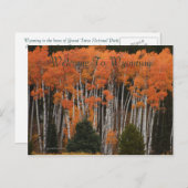 テトンはがきの色 ポストカード (正面/裏面)