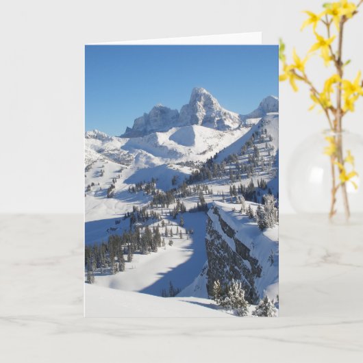 テトンズカードの冬 カード (黄色い花)