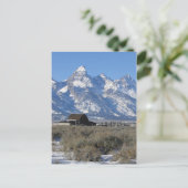 テトンランチ葉書 ポストカード (スタンド正面)