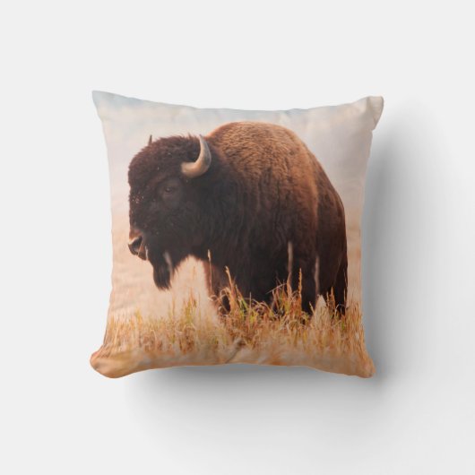テトン国立公園のアメリカバイソン(Bison Bison)の群れ 2 クッション (正面)