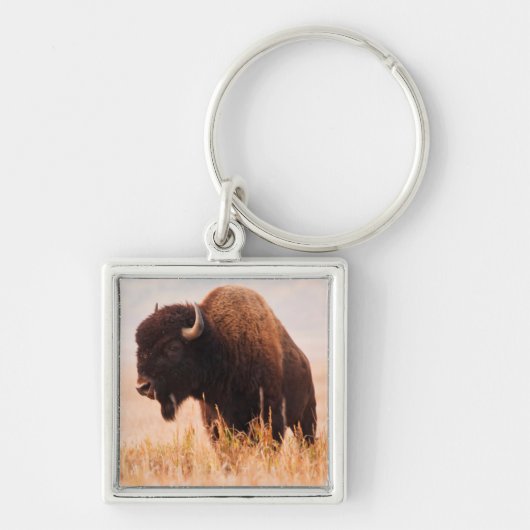 テトン地域のアメリカバイソン（Bison bison）の群れ 2 キーホルダー (正面)