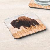 テトン地域のアメリカバイソン（Bison Bison）の群れ 2 コースター (左側)