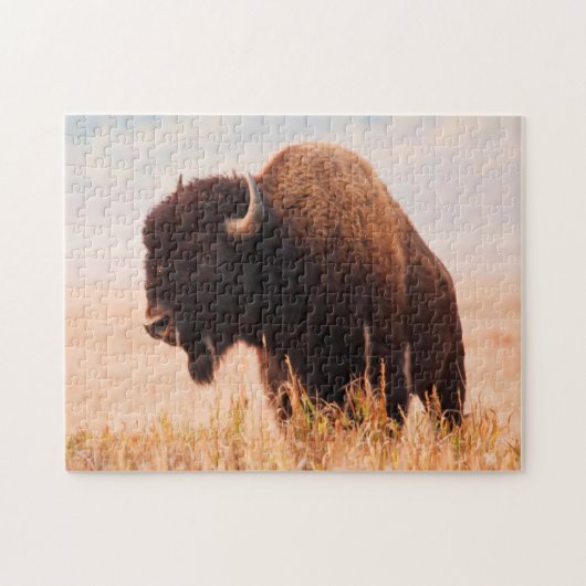 テトン地域のアメリカバイソン(Bison bison)の群れ 2 ジグソーパズル (横)