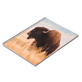 テトン地域のアメリカバイソン（Bison bison）の群れ 2 ノートブック (左側)