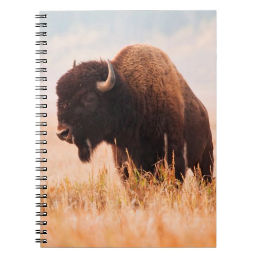 テトン地域のアメリカバイソン（Bison bison）の群れ 2 ノートブック (正面)
