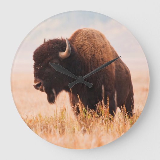 テトン地域のアメリカバイソン(Bison Bison)の群れ 2 ラージ壁時計 (正面)