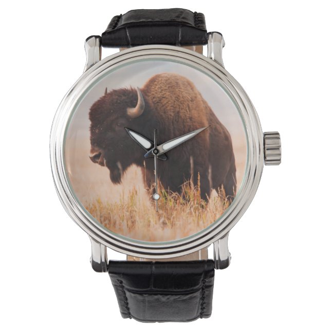 テトン地域のアメリカバイソン（Bison bison）の群れ 2 腕時計 (正面)