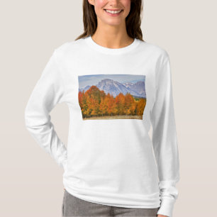 テトン山脈とアメリカハコヤナギの木々 Tシャツ