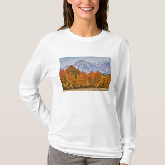 テトン山脈とアメリカハコヤナギの木々 Tシャツ (正面)