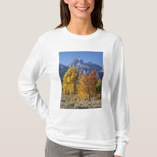 テトン山脈とポプラの木々 Tシャツ (正面)