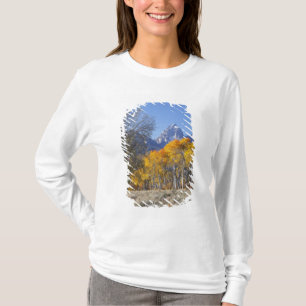 テトン山脈とポプラの木々 Tシャツ