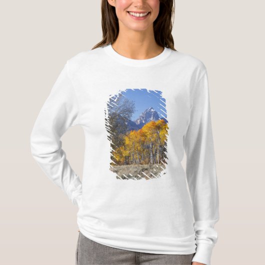 テトン山脈とポプラの木々 Tシャツ (正面)