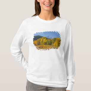 テトン山脈とポプラの木々 Tシャツ