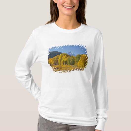 テトン山脈とポプラの木々 Tシャツ (正面)