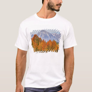 テトン山脈とポプラの木 Tシャツ