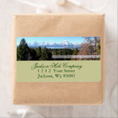 テトン ラベル (インサイチュ)