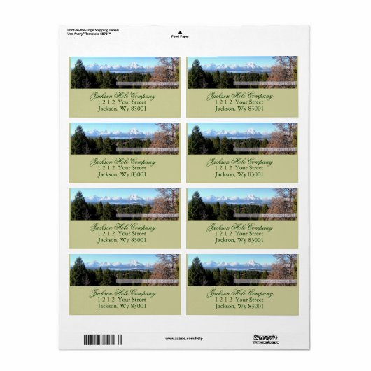 テトン ラベル (フルシート)